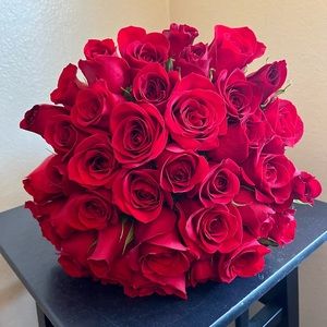 Meet your Posher, Karina